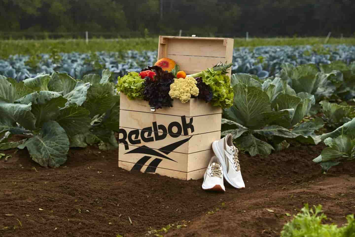 Chaussures durables de Reebok fabriquées à partir de plantes placées à côté d'une boîte contenant des légumes au milieu d'un champ vert