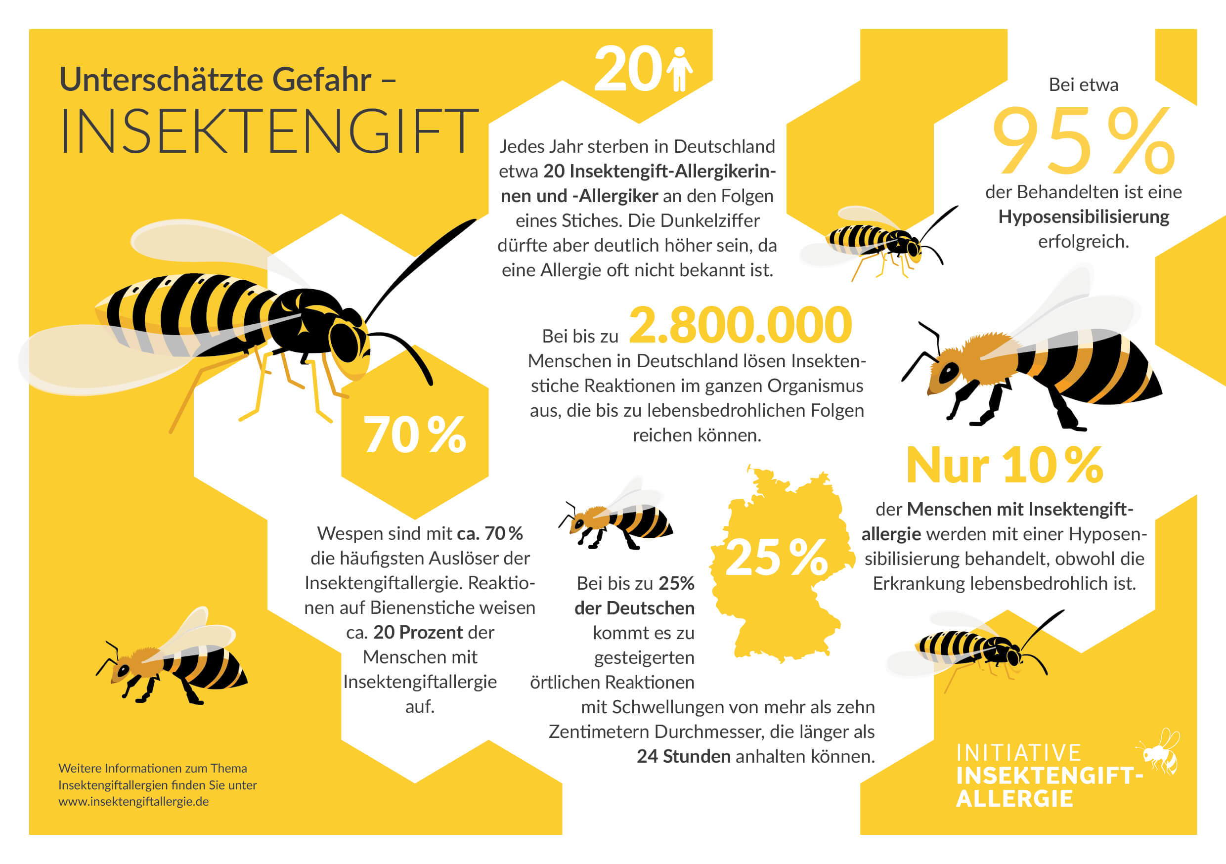 Infografik Wissenswertes über Insektengiftallergie