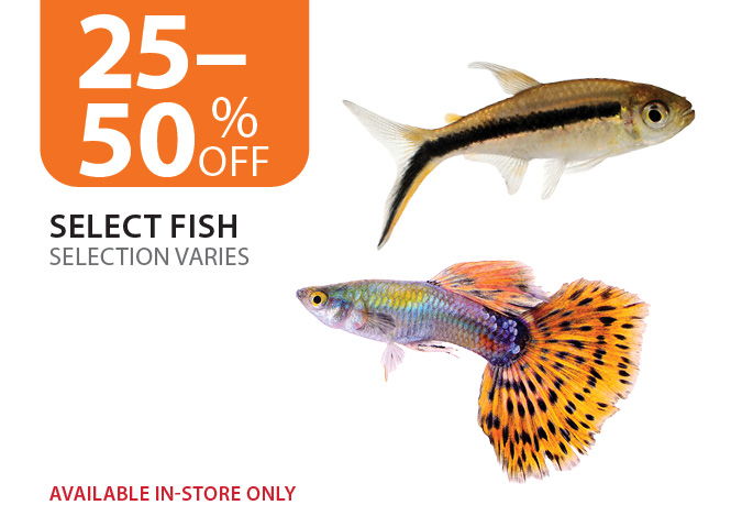 25–50% off Select Fish. Available in-store only