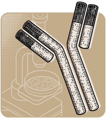 Recombinant Antibody Services