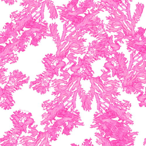 Pink coral pattern on a white background.