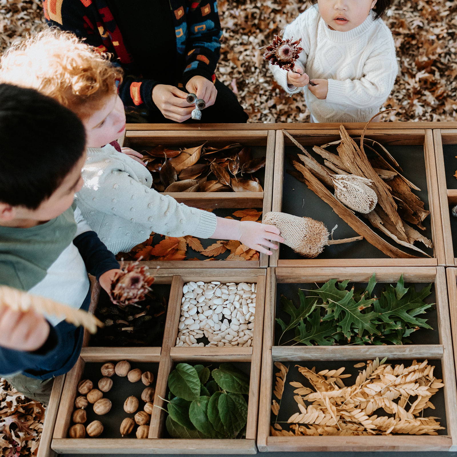 A Nature-themed Exploration Table Filled with Children-friendly Natural Products