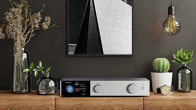 Modern audio equipment on a wooden shelf with decorative plants and artwork.