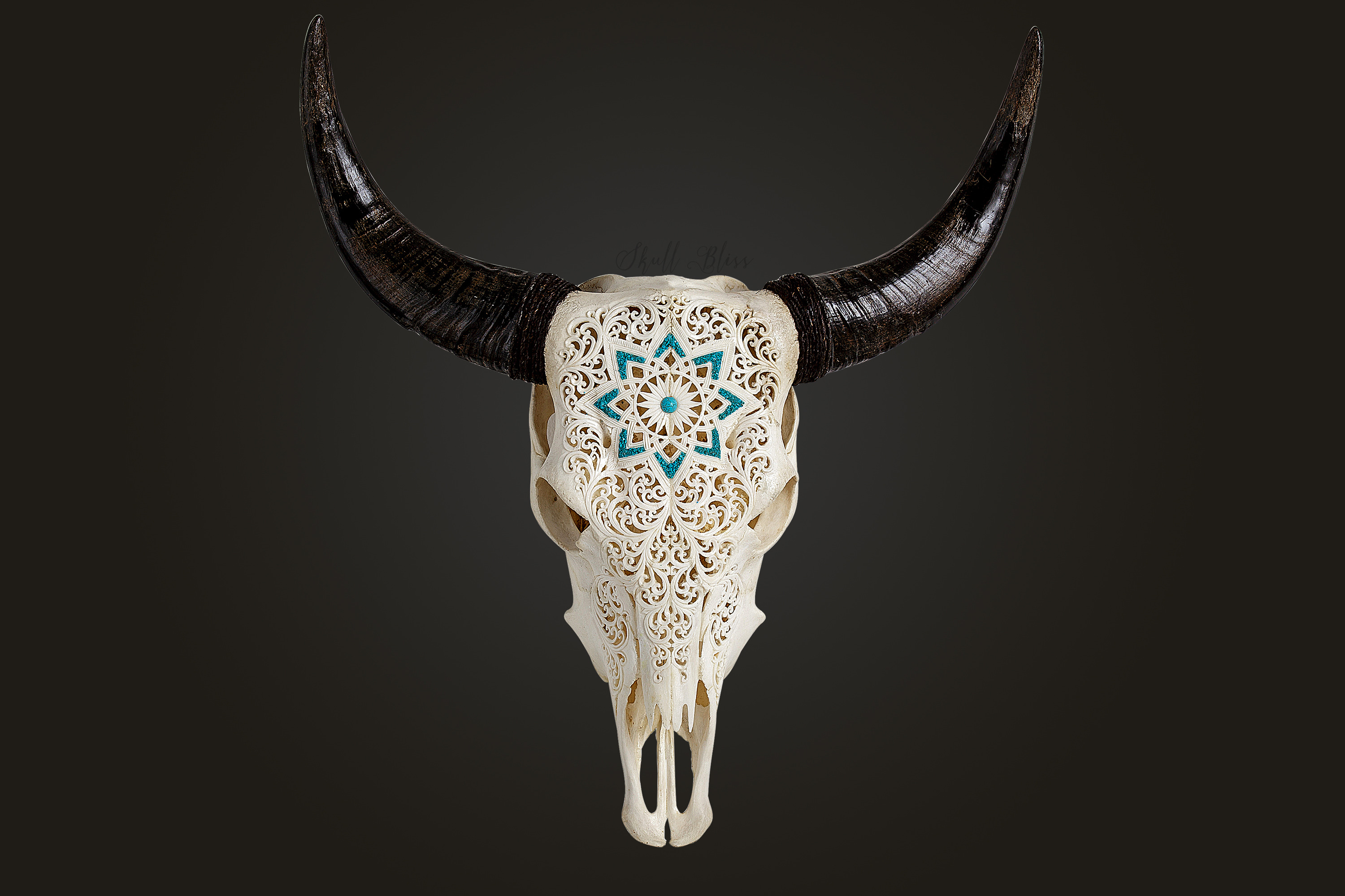 A product photo of the hand-carved cow skull 