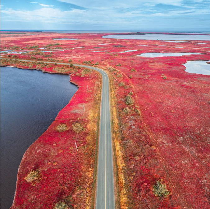  a road leading to a body of water in fall colors