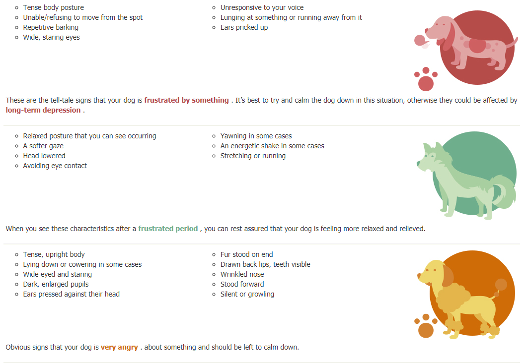 Dog Body Language Infographic Section