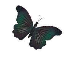A colorful butterfly with green and purple wings on a transparent background.