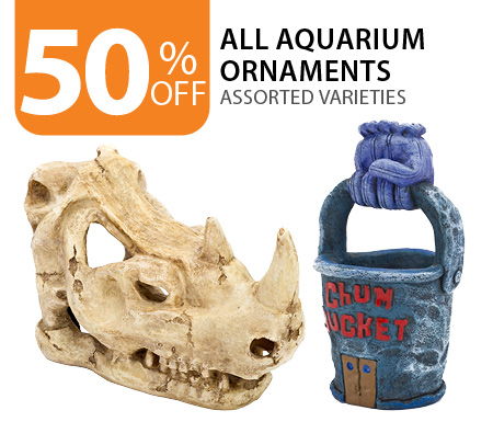 50% off all aquarium ornaments