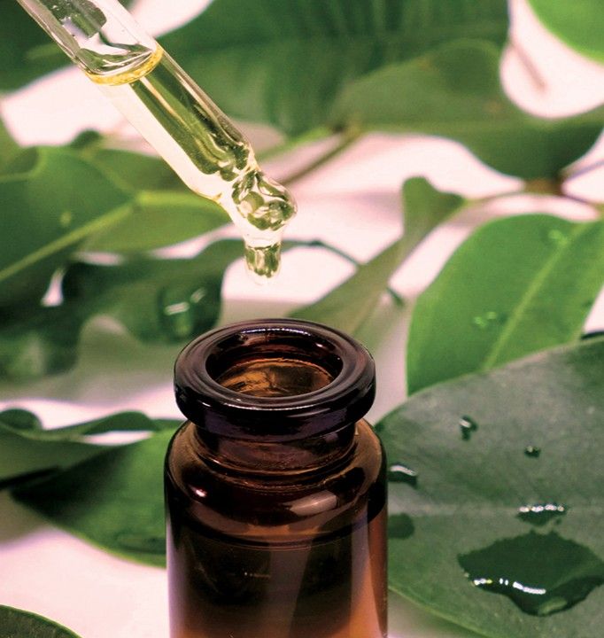 Dropper dispensing oil over a brown glass bottle surrounded by green leaves.