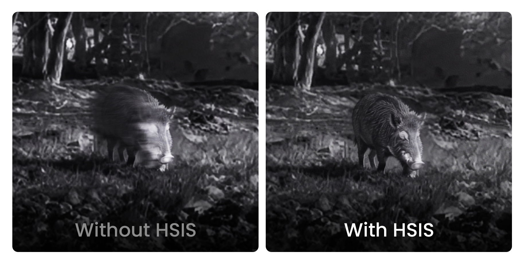 Hikmicro NEOS HSIS Technology