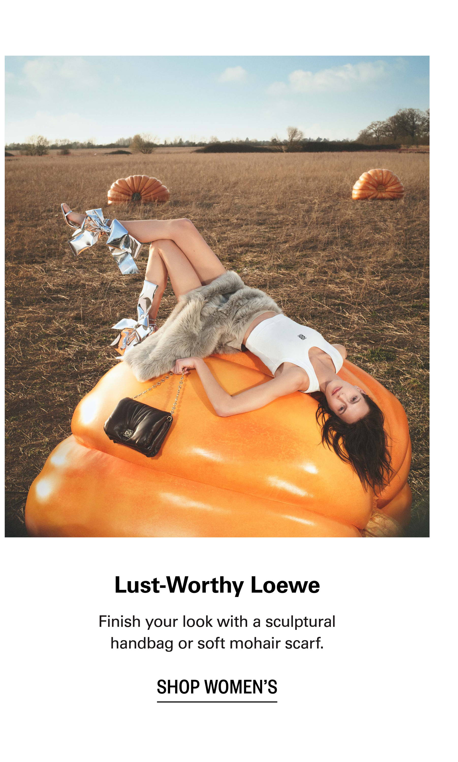 Shop LOEWE