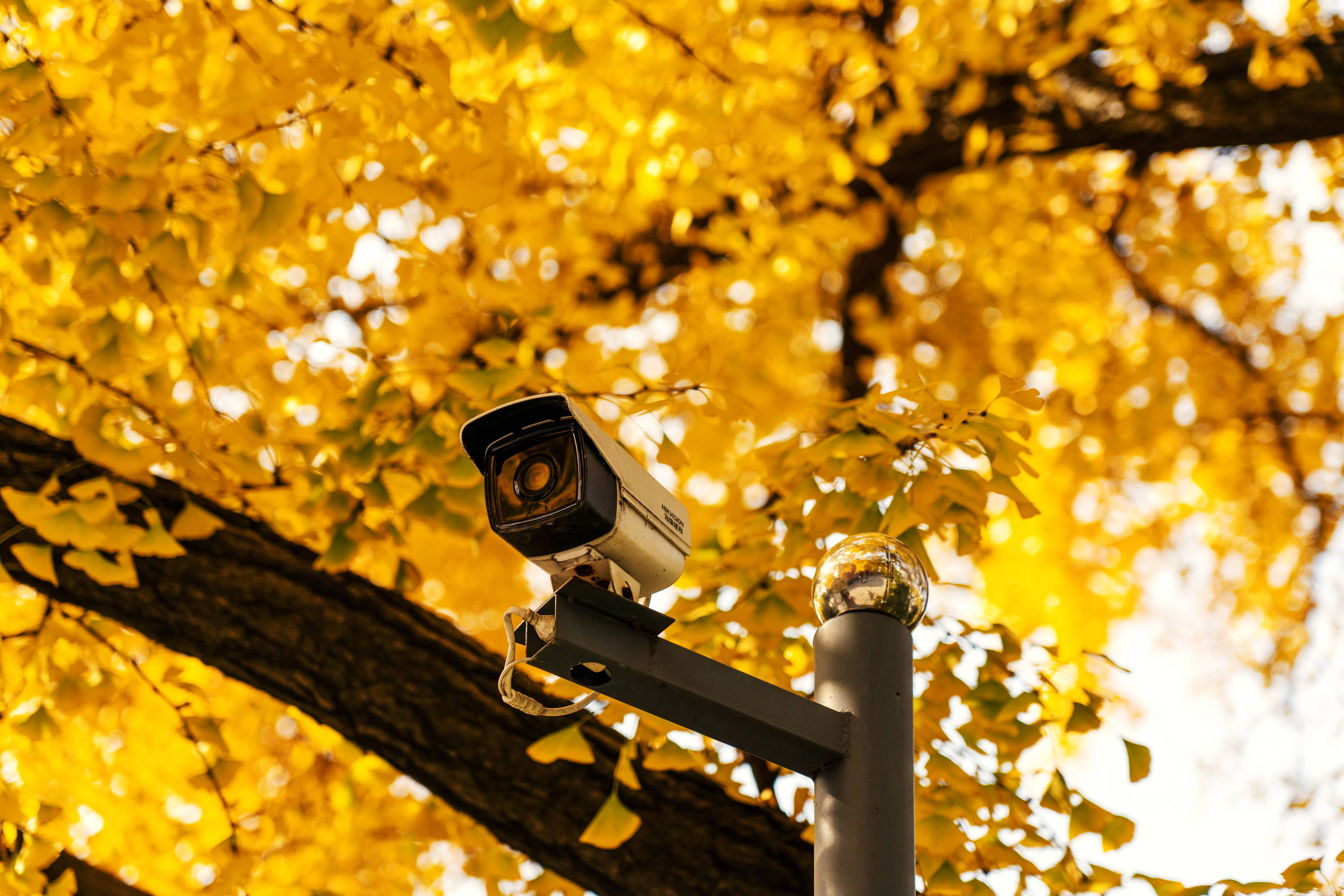 How long should a security camera last?