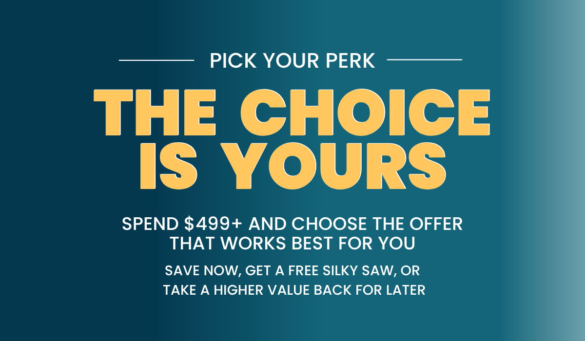 Promotional graphic offering choices for spending $499.