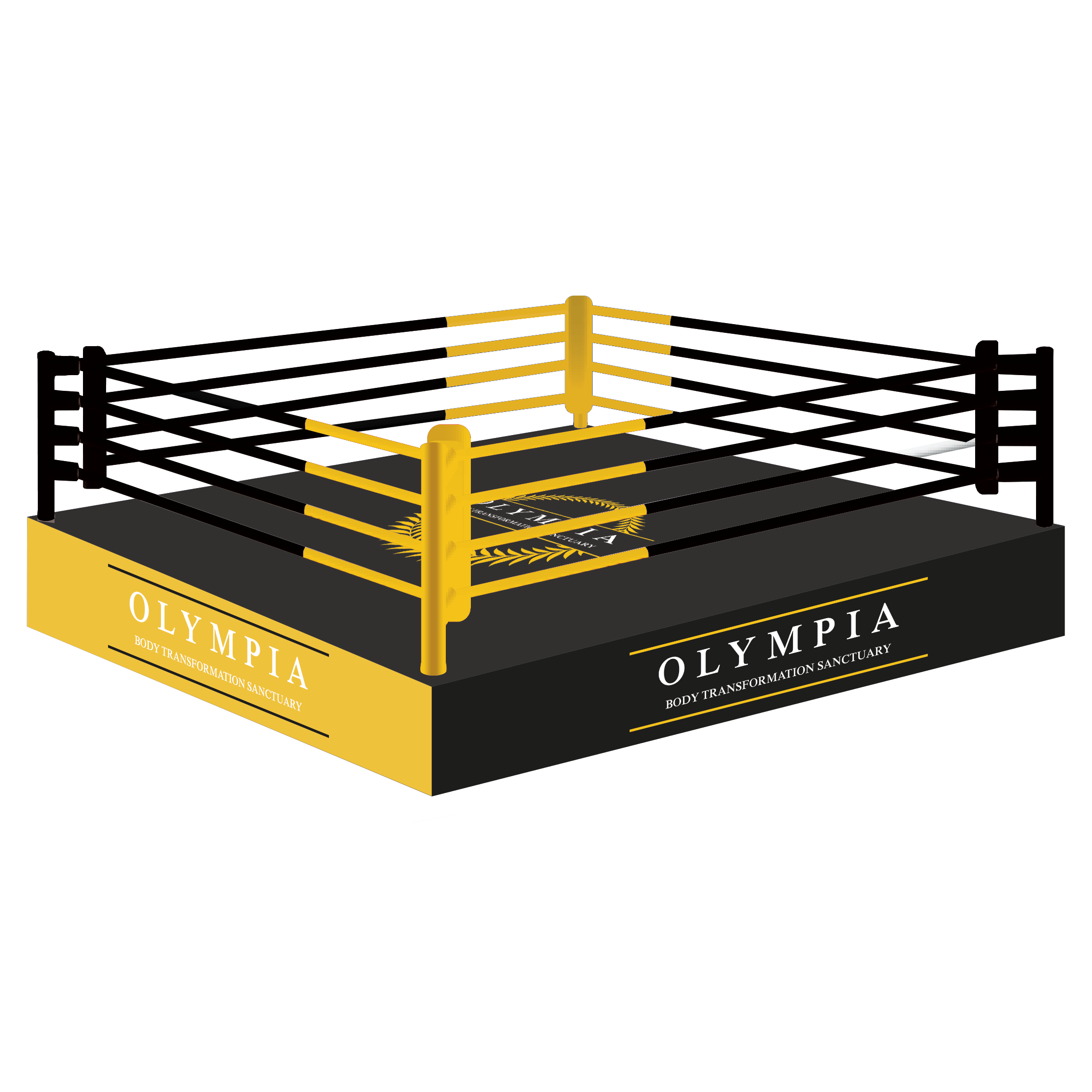 Custom Boxing Ring