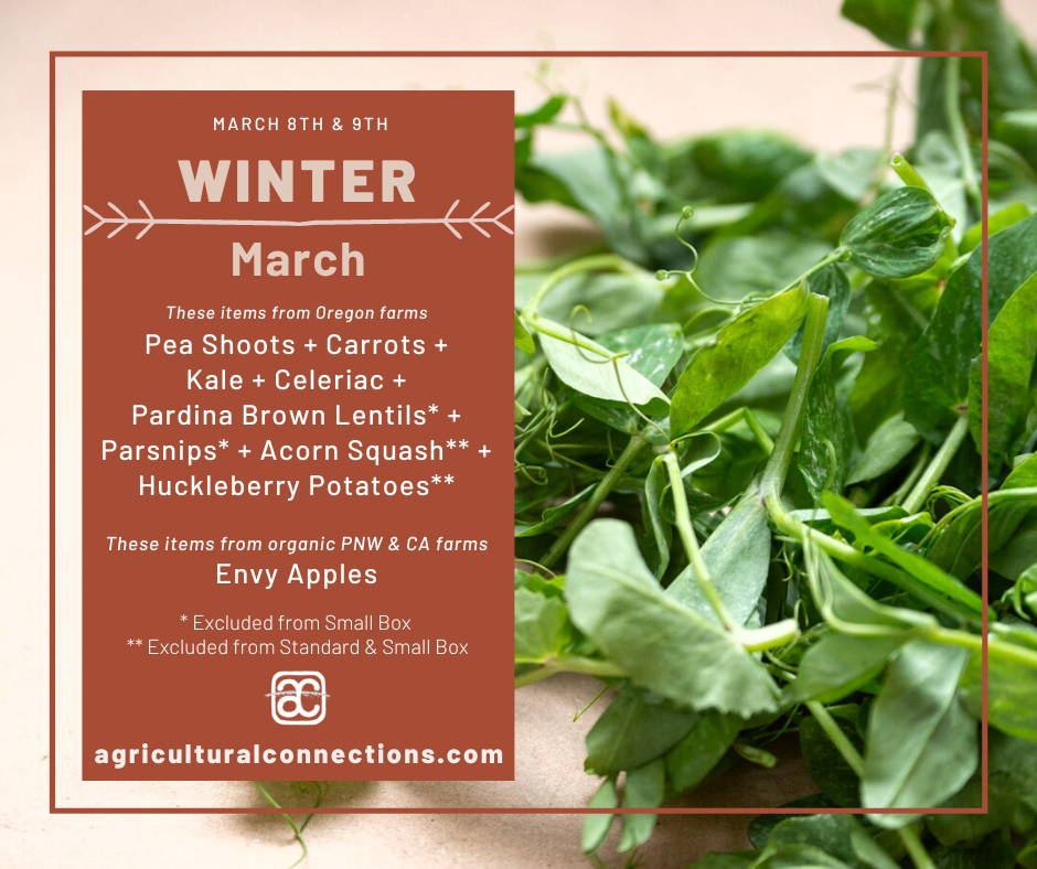 A close-up image of green pea tendrils with round leaves and curly stems, with a brown-red textbox on top with the box contents for March 8th & 9th. From Oregon Farms: pea shoots, carrots, kale, celeriac, pardina brown lentils (not in small box), parsnips (not in small box), acorn squash (full box only), and huckleberry potatoes (full box only). From WA: envy apples.