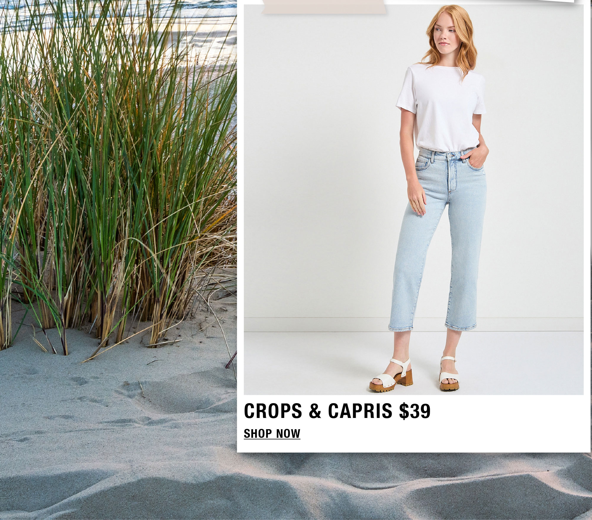 Beach grass alongside a fashion advertisement for crops and capris.