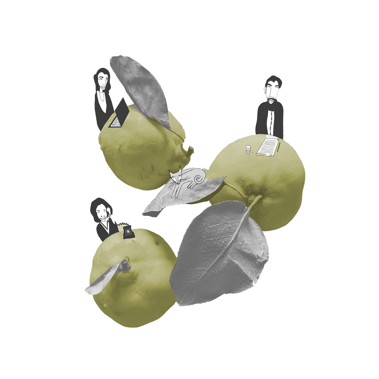 pear illustration