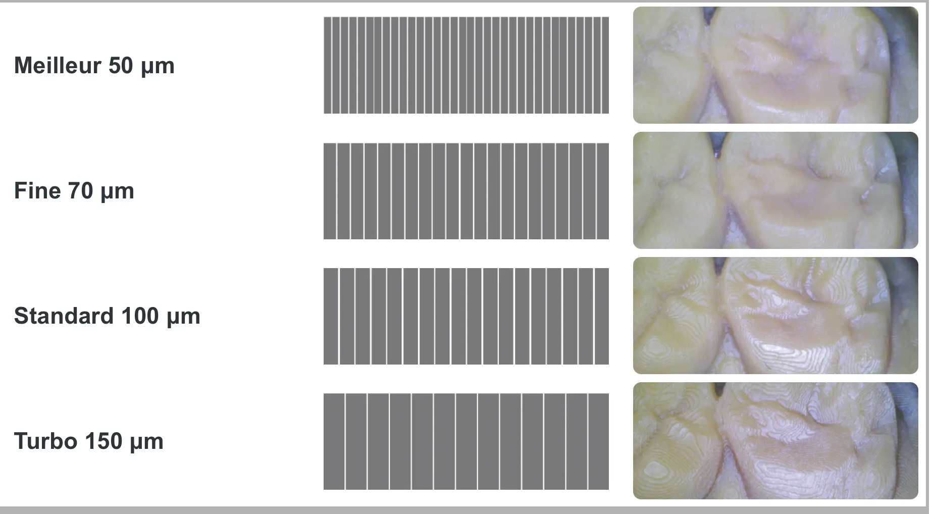 Polyvalence couche Alpha AI