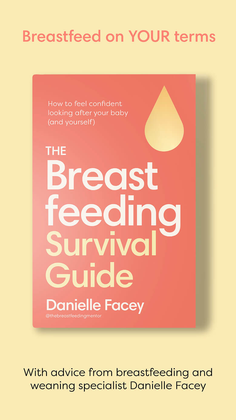Book cover for 
