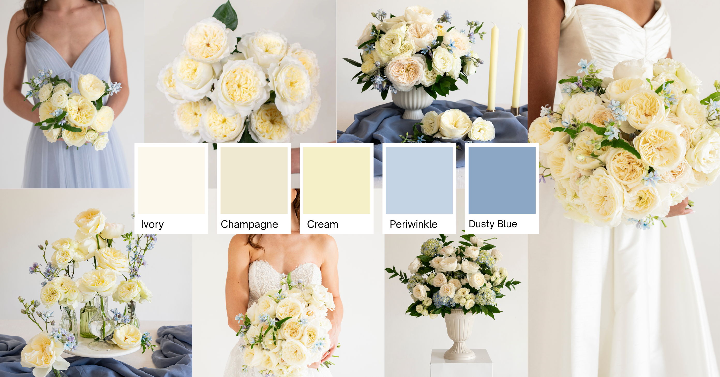 Blue and Cream Garden