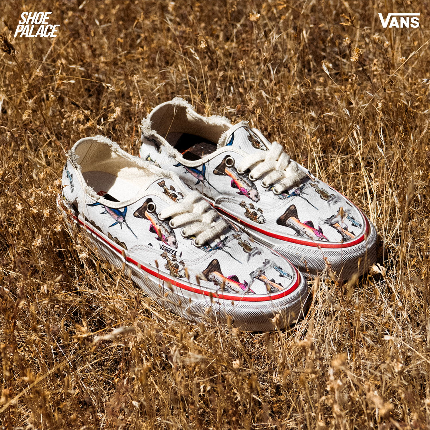 A pair of Vans sneakers on dry grass.