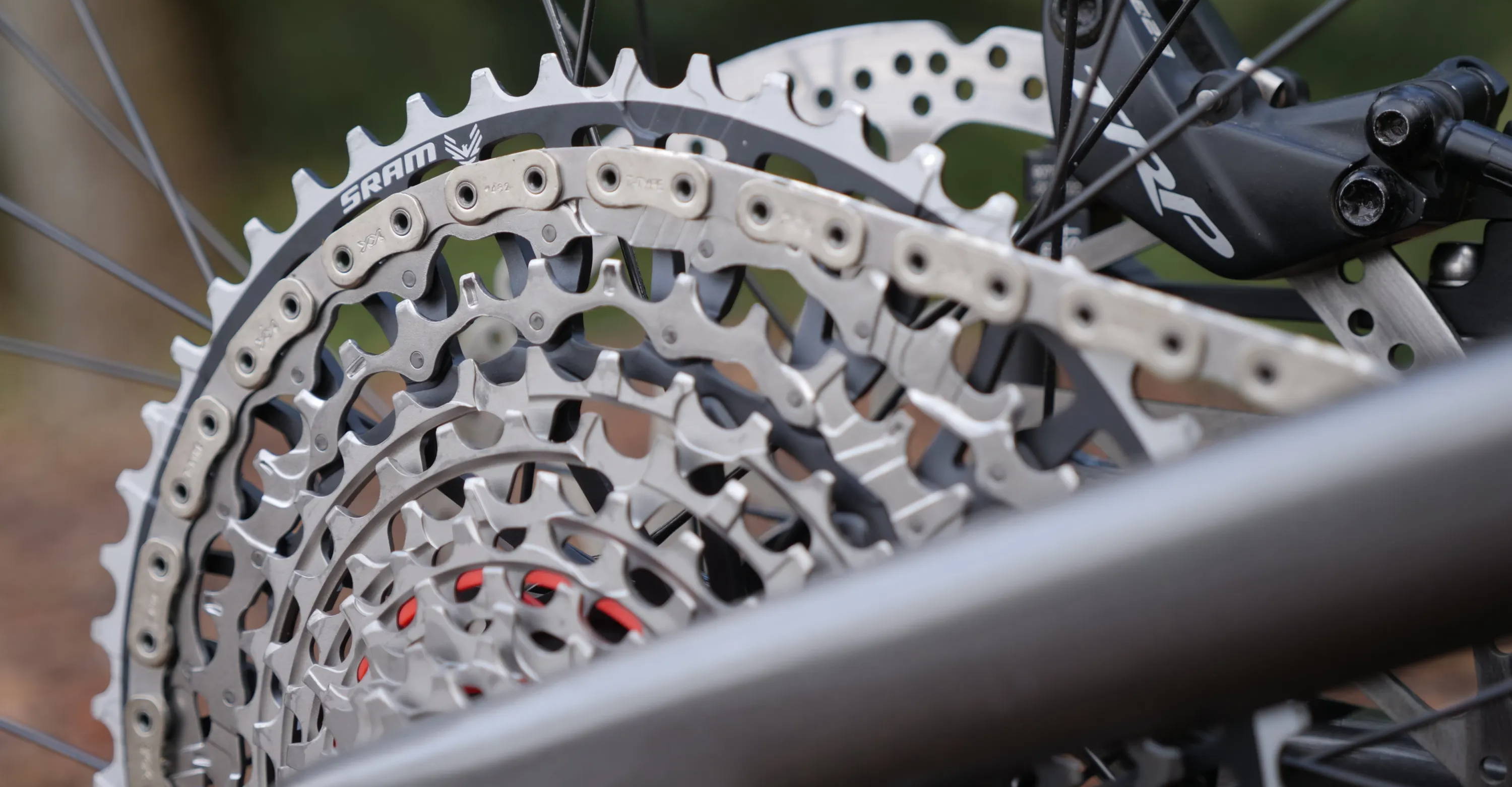 detail of the sram xx axs transmission cassette and chain on a mountain bike
