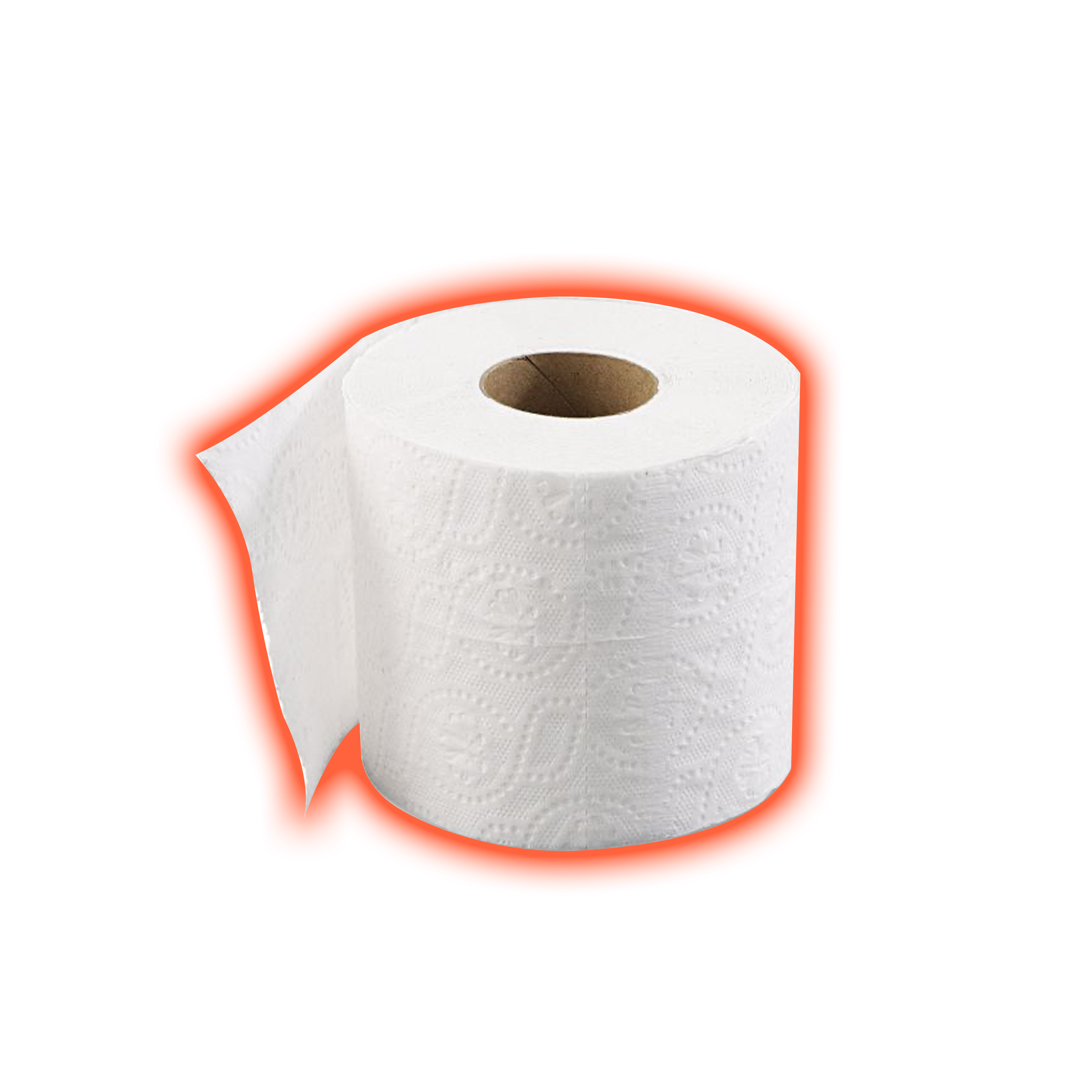 Toilet - Paper - Whisker Seeker Tackle