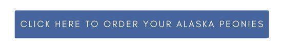 Click here to order your Alaska Peonies