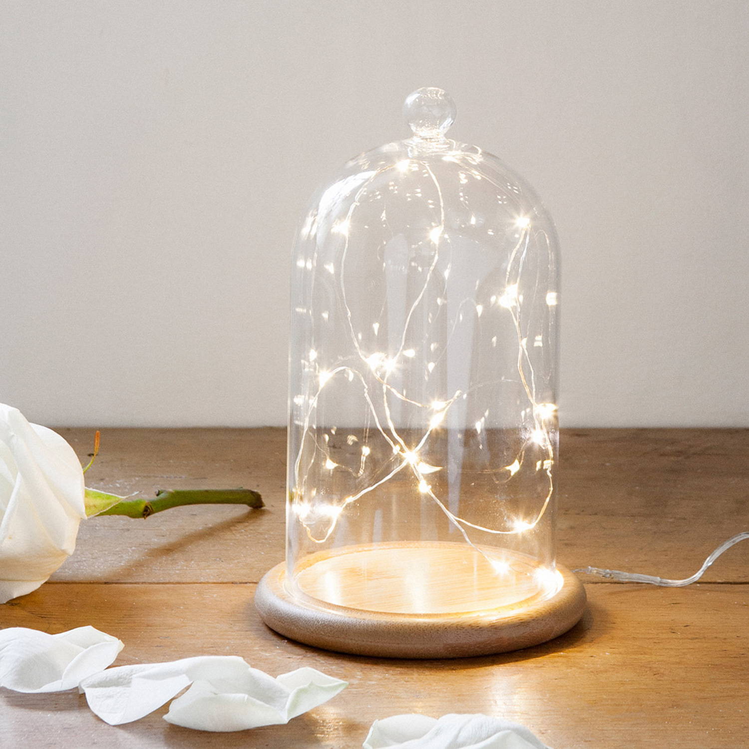 Micro lights in a glass dome with a white flower and petals on the table.