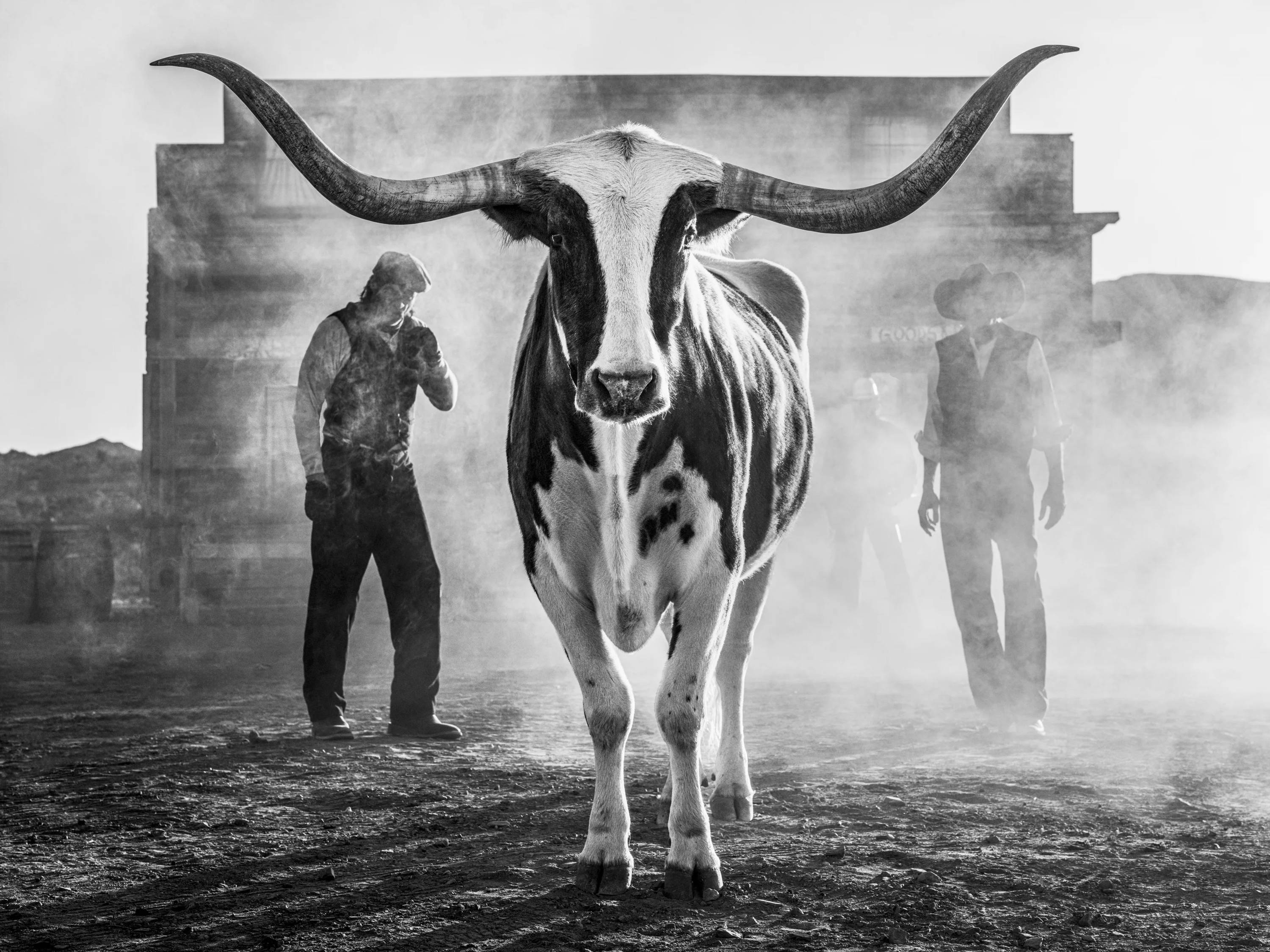 David Yarrow Santa Fe Art Gallery