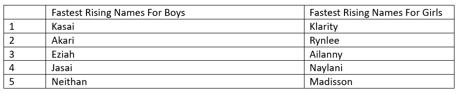 Table listing favorite dog breeds and favorite cat breeds.
