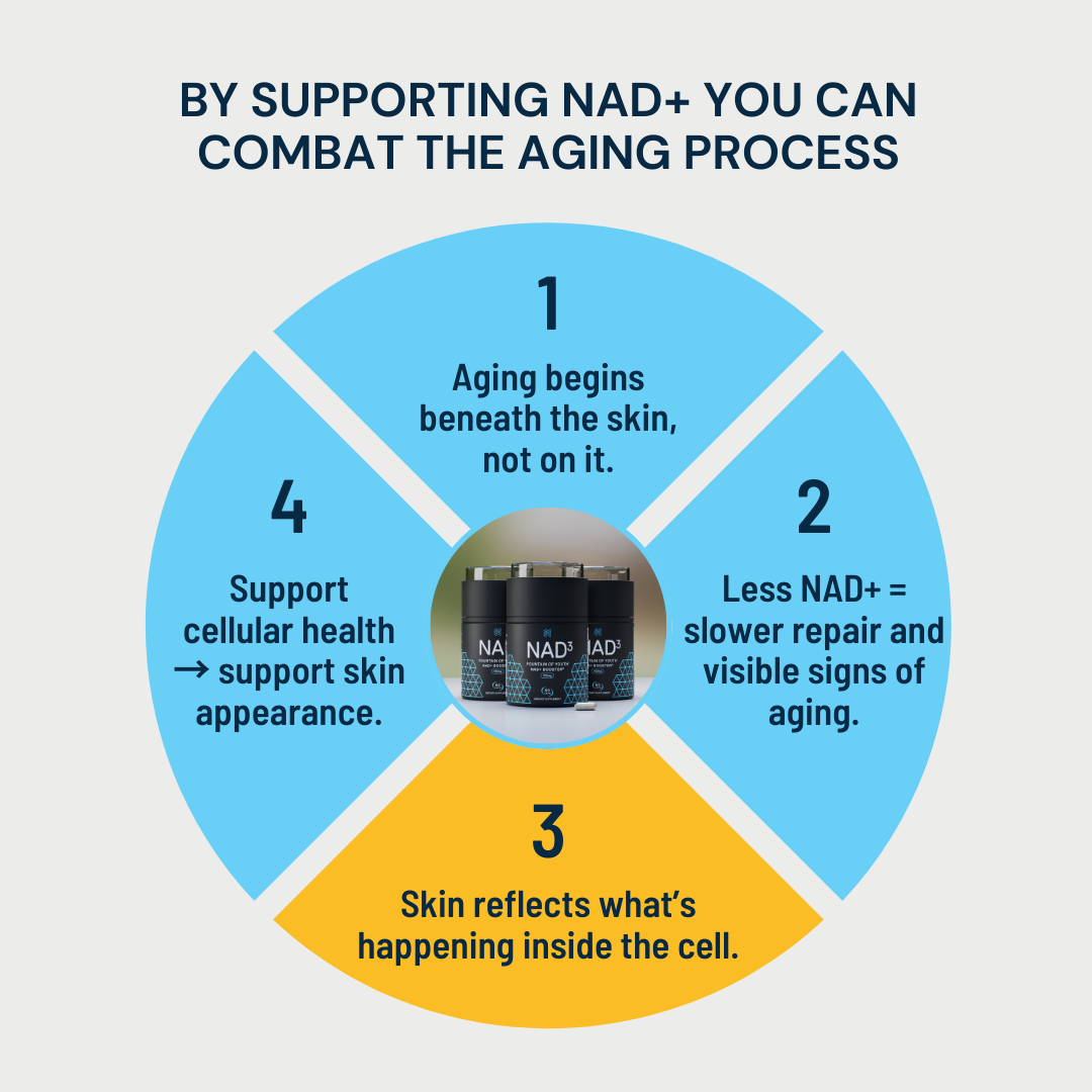 An infographic talking about how supporting NAD+ can combat the aging process