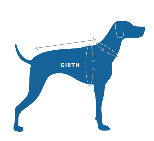 Dog measuring guideline