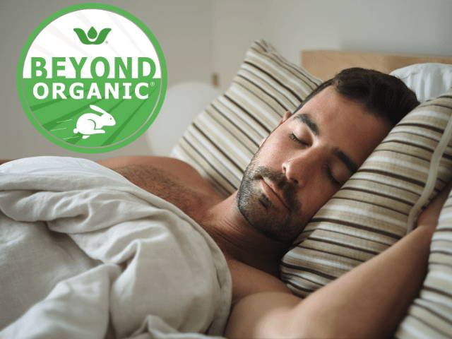 Man sleeping on an Essentia Mattress with the Essentia Beyond Organic logo