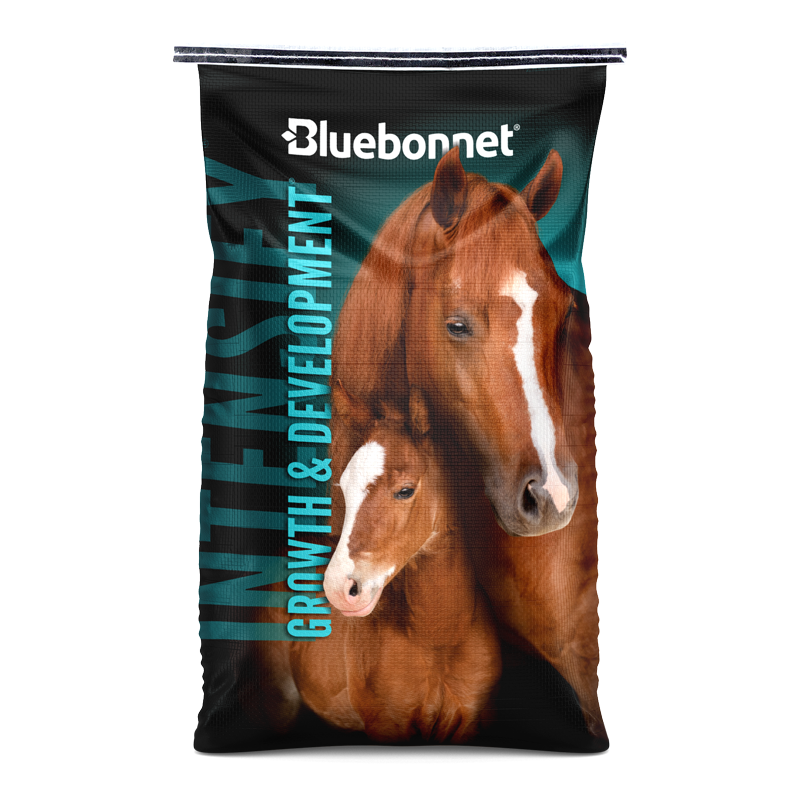 Bag featuring two horses with text about growth and development.
