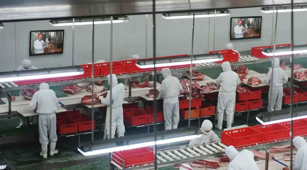 The Display Shield food processing digital signage protection