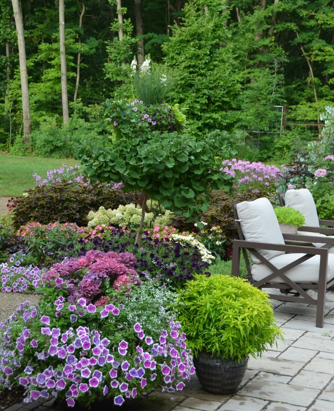 Photo of back yard garden with annuals planted in pots and in the ground