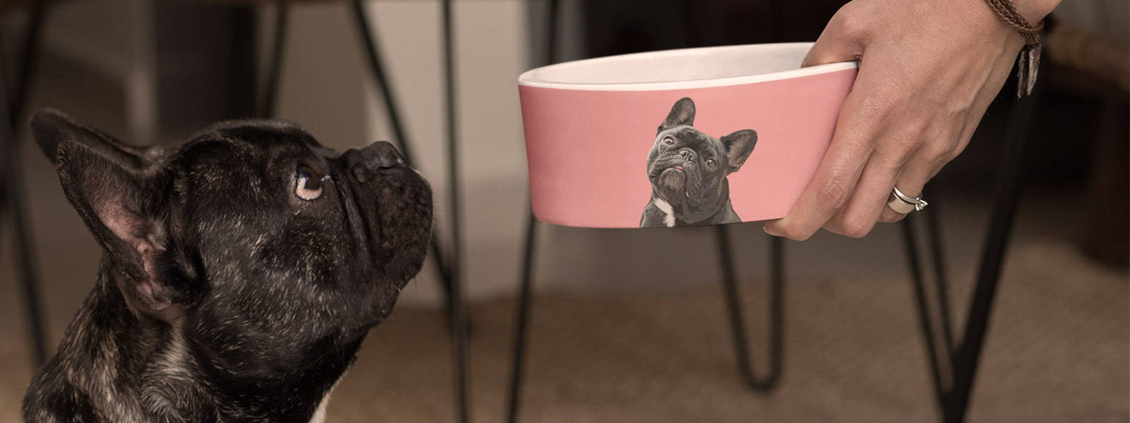 French bulldog receiving dinner in custom painted pet bowl