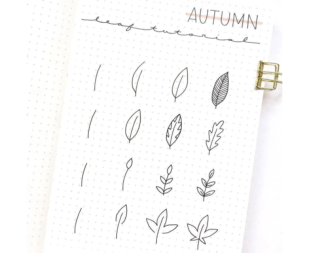 Autumn leaves doodle