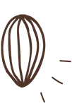 Cocoa pod illustration with three lines on the right