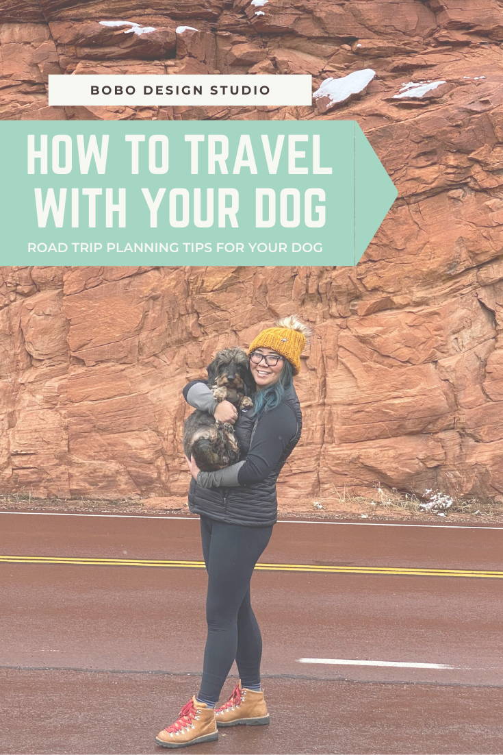 How to travel with your dog. Road Trip Planning tips for your dog