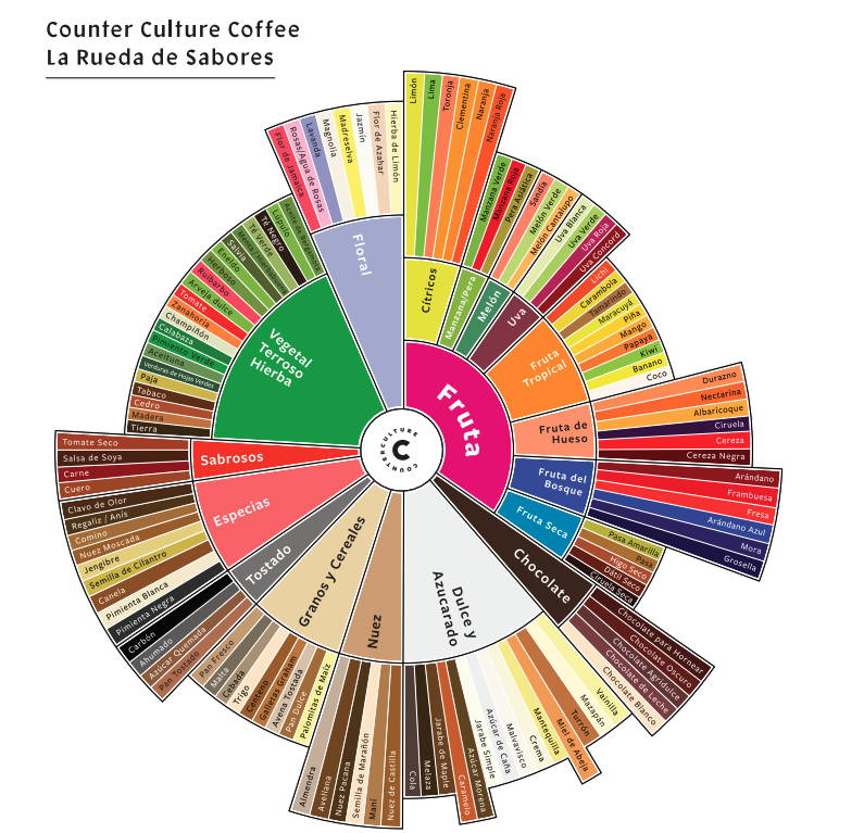 Counter Culture Coffee Taster's Flavor Wheel – NPR Coffee Club