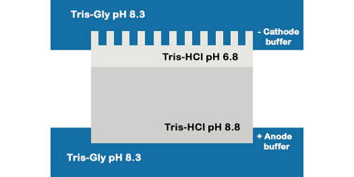 Discontinuous Buffer System