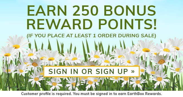 Earn 250 bonus reward points if you place at least 1 order during sale