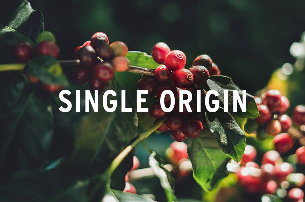 49th Parallel Single Origin Coffee