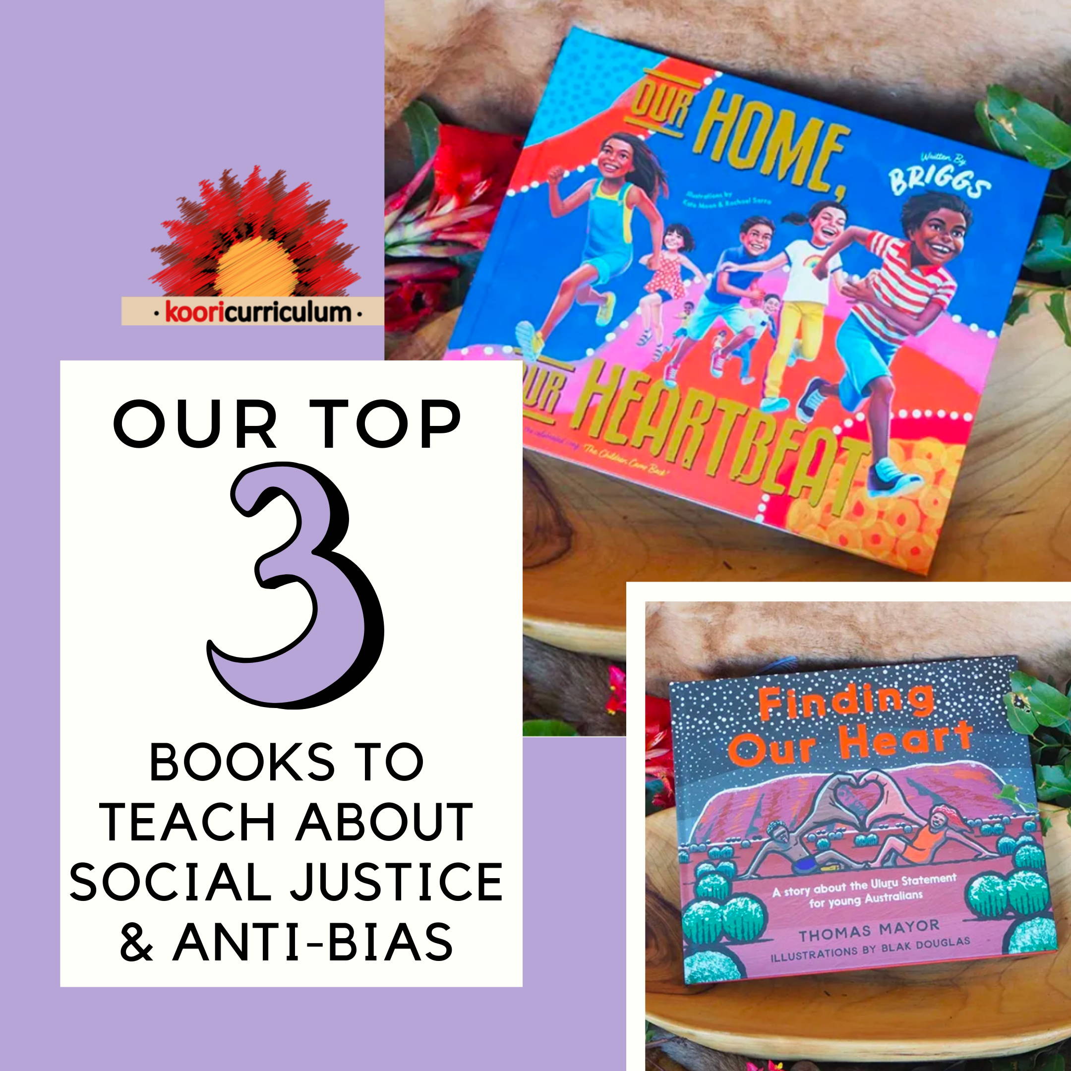Our Top Three Books to Teach about Social Justice and Anti Bias | Koori ...