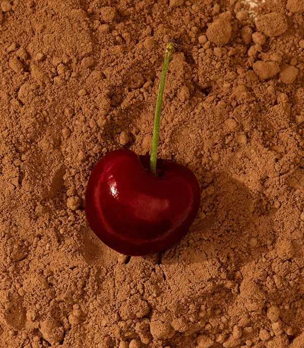 A cherry resting on a bed of brown soil or powder.