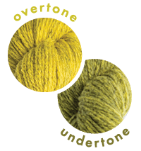 Overlapping circles of yarn color samples Tones Light Zest Overtone and Undertone