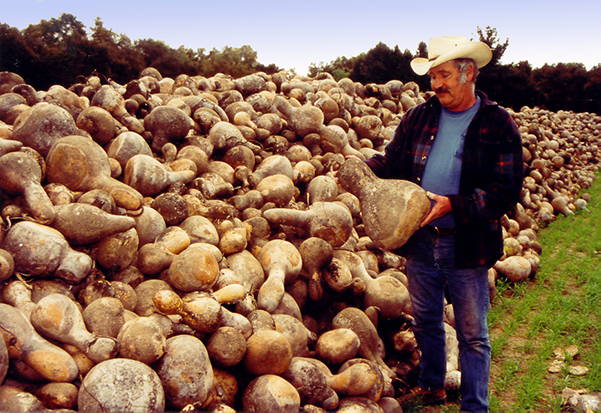 Co-Founder, Doug Welburn Circa 1996 with a crop of organic hard shell gourds