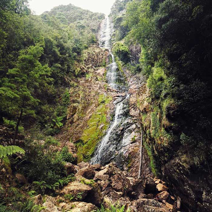 Montezuma Falls, Montezuma Falls Track – Roseberry, Tasmania